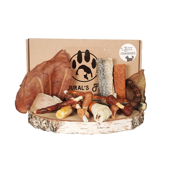 BOX FRIANDISES POUR CHIENS - MOYENNE