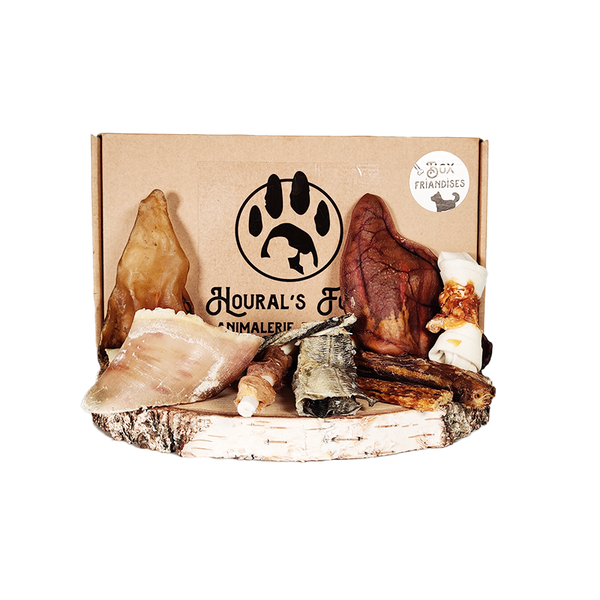 BOX FRIANDISES POUR CHIENS - PETITE