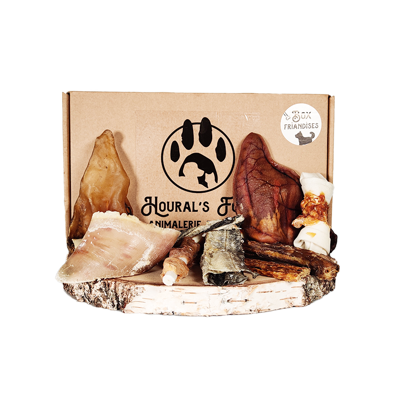 PACK FRIANDISES POUR CHIENS - LOT DE 10 FRIANDISES