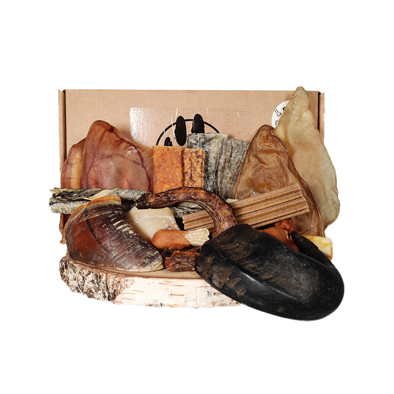 PACK MASTICATION POUR CHIENS - LOT DE 16 FRIANDISES