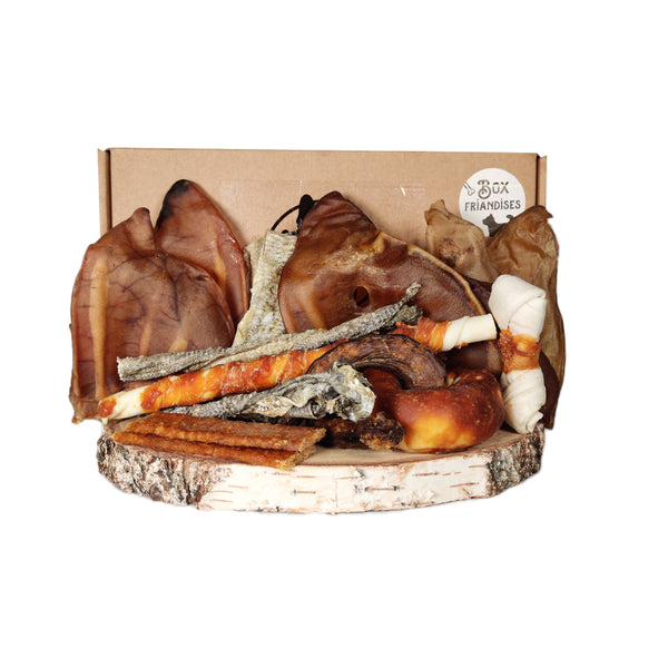 BOX FRIANDISES POUR CHIENS - GRANDE