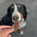 Lot De 25 Oreilles De Cochon Coupée | Friandises Pour Petits Chiens