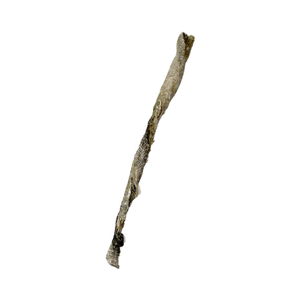 Hounimo - Torsadé de Poisson séché ~10cm