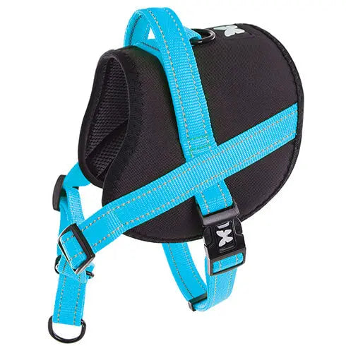 Martin Sellier - Harnais pour chien Martin Sellier