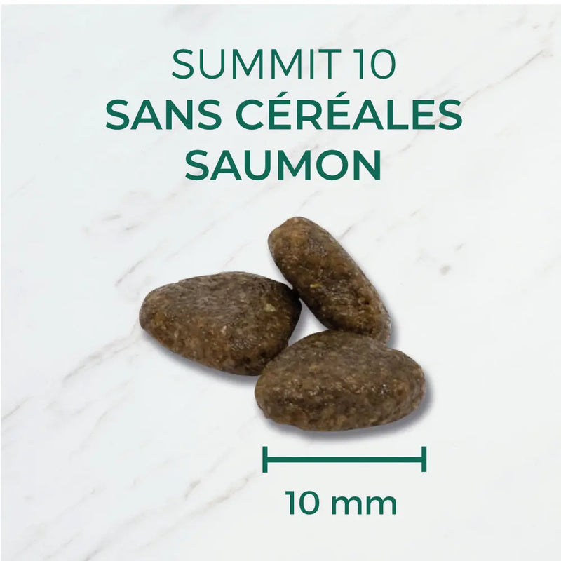 SUMMIT 10 GRAIN FREE - CROQUETTES CHIENS ADULTES SANS CÉRÉALES  Saumon frais - 12 KG SUMMIT 10